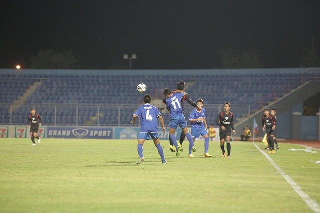 引进并推广 引进并推广