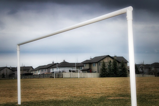 普通的胜利 普通的胜利