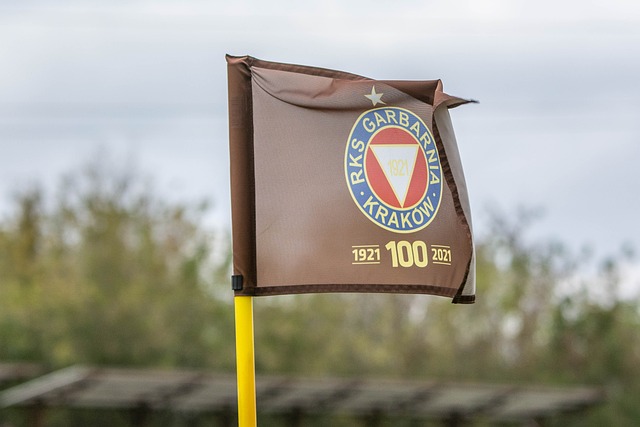 热刺不仅需 热刺不仅需