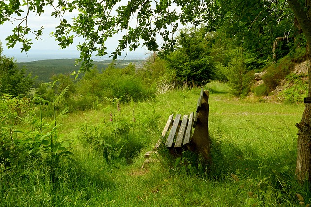 亚马尔站上 亚马尔站上