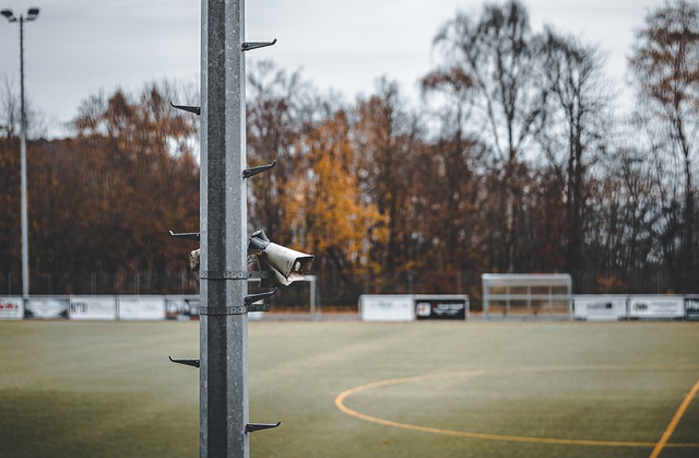 积极实施 积极实施