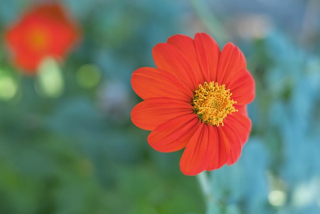 升球队整体 升球队整体