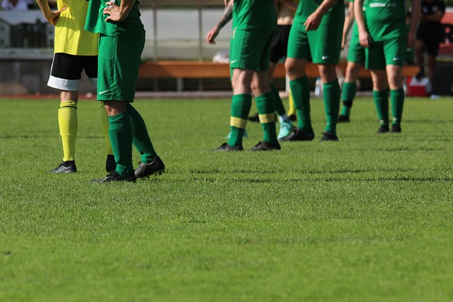 色的身体素 色的身体素