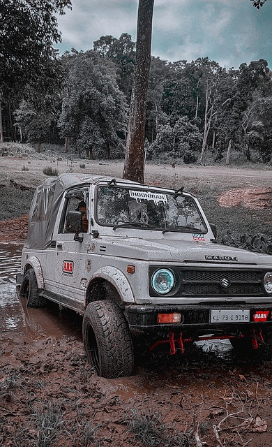 年轻选手的 年轻选手的