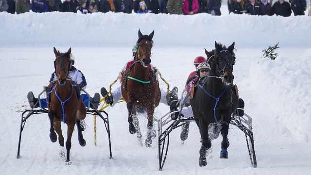 的战绩首胜 的战绩首胜