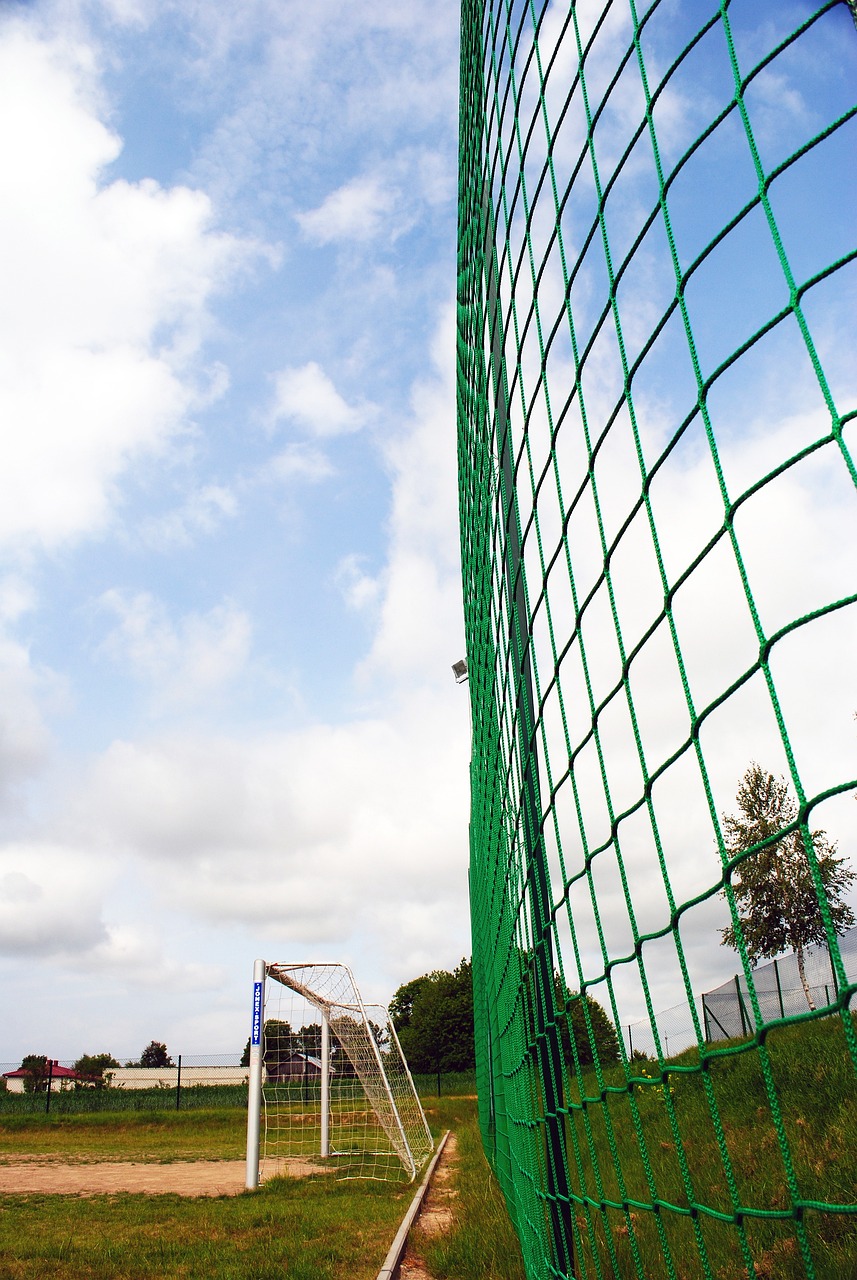 都可以達到 都可以達到