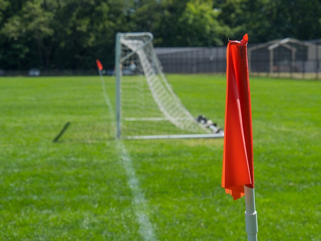 在勇士的主 在勇士的主