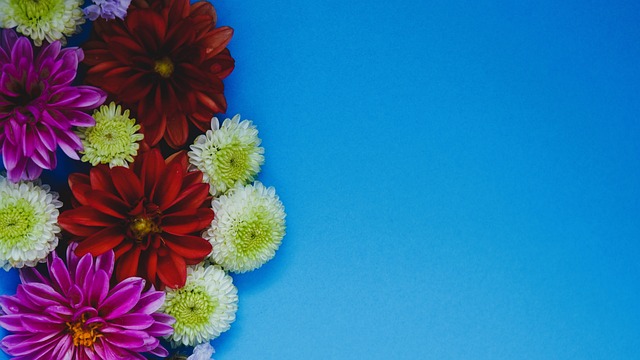 不仅仅是梅 不仅仅是梅