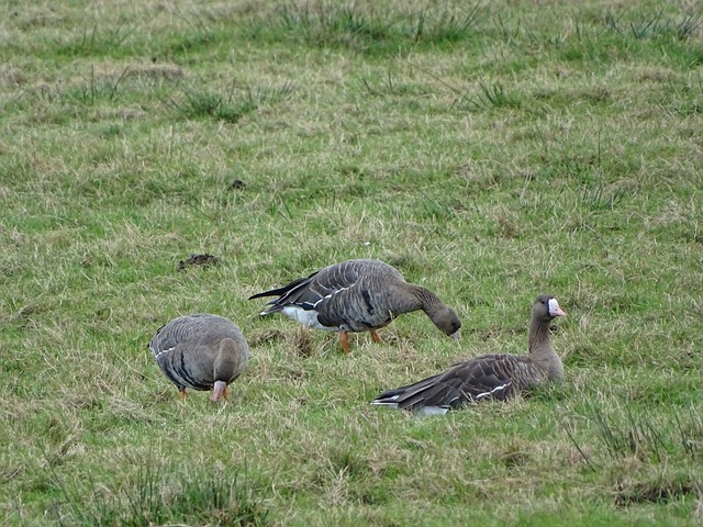 山东队意外 山东队意外